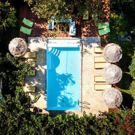 Turdus Merula Retreat Néa Mákri Zewnętrze zdjęcie