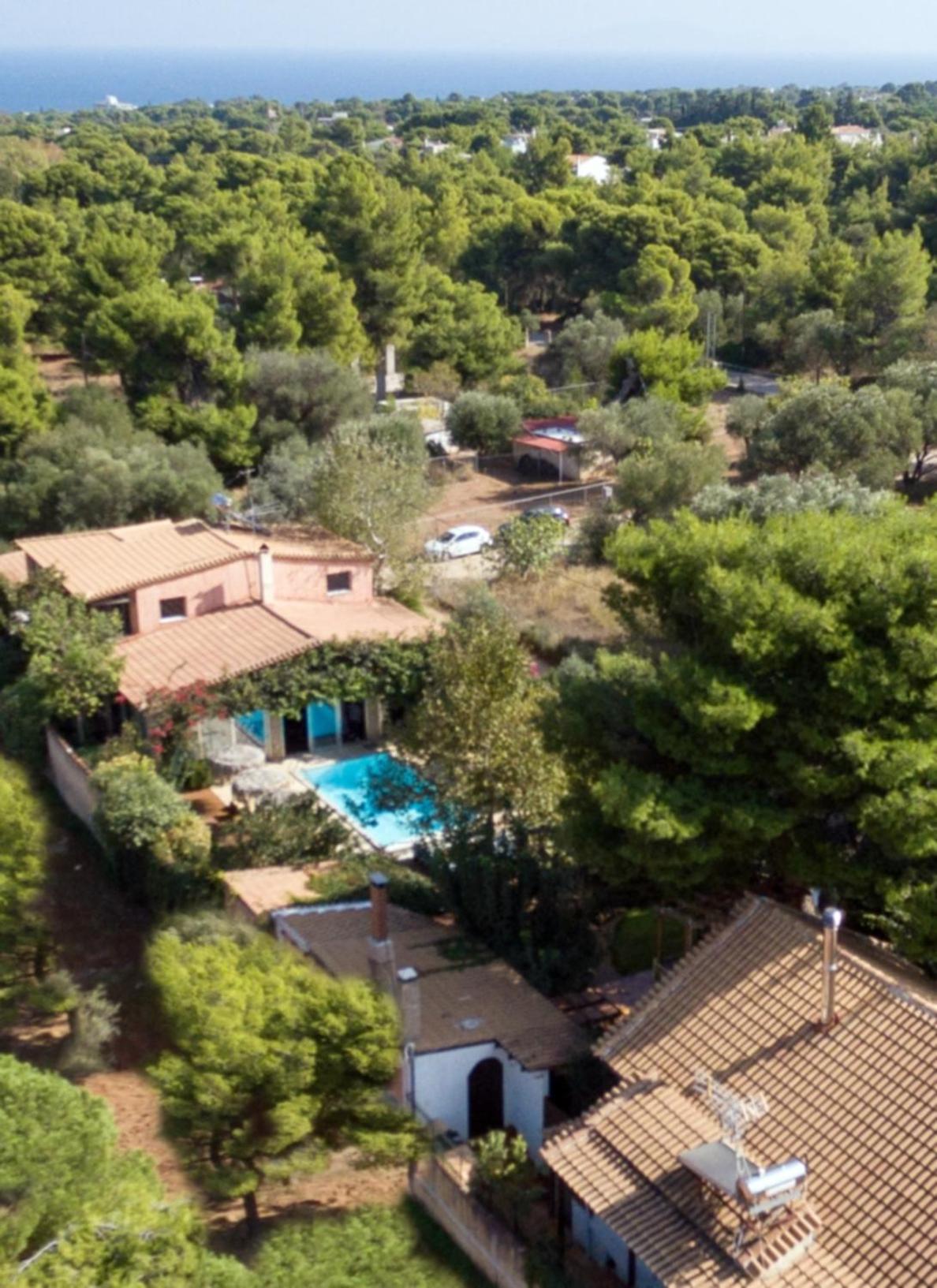 Turdus Merula Retreat Néa Mákri Zewnętrze zdjęcie